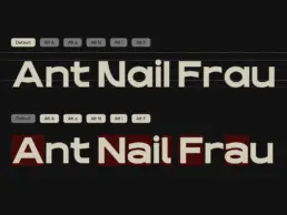 Magowey sport font stylistic alternates – Alt A, Alt a, Alt N, Alt I, and Alt F glyph variations shown in bold display setting by TypeBerka