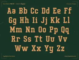 Character set preview of Fieltz varsity display font including uppercase and lowercase slab serif letters for sports and college branding.